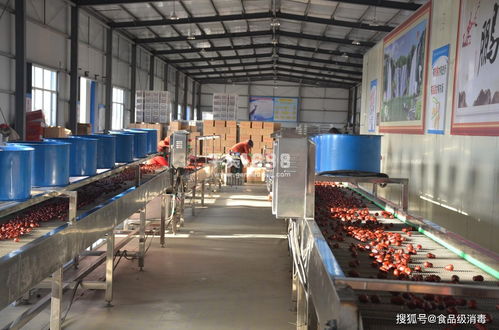 食品廠車間霉菌消毒 炒貨食品及堅果制品霉菌超標的關(guān)鍵解決路徑