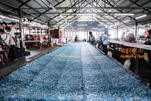 檳城文化探索 一城五國風(fēng)情的測繪之旅